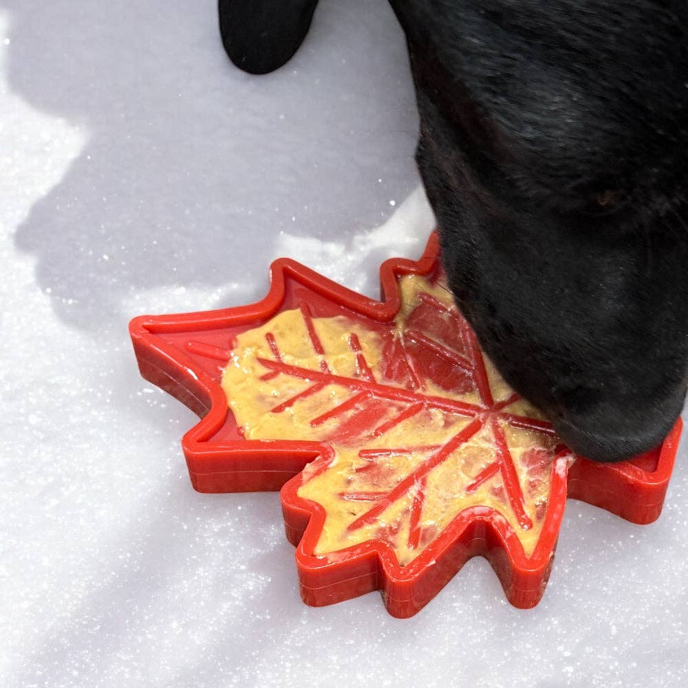 Jouet à mâcher pour chien en nylon durable Feuille d'érable canadienne eChew: Jouet en nylon feuille d'érable canadienne - Rouge