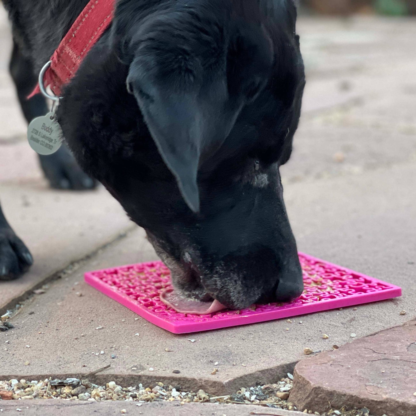 Tapis d'enrichissement pour léchage Emat pour scie sauteuse: Rose