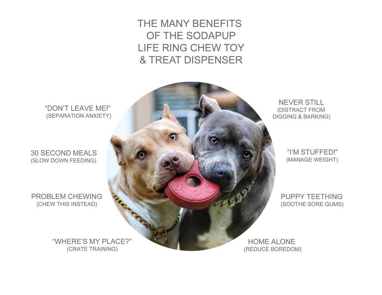 SP Life Saver Jouet à mâcher - Distributeur de friandises - Grand - Rouge