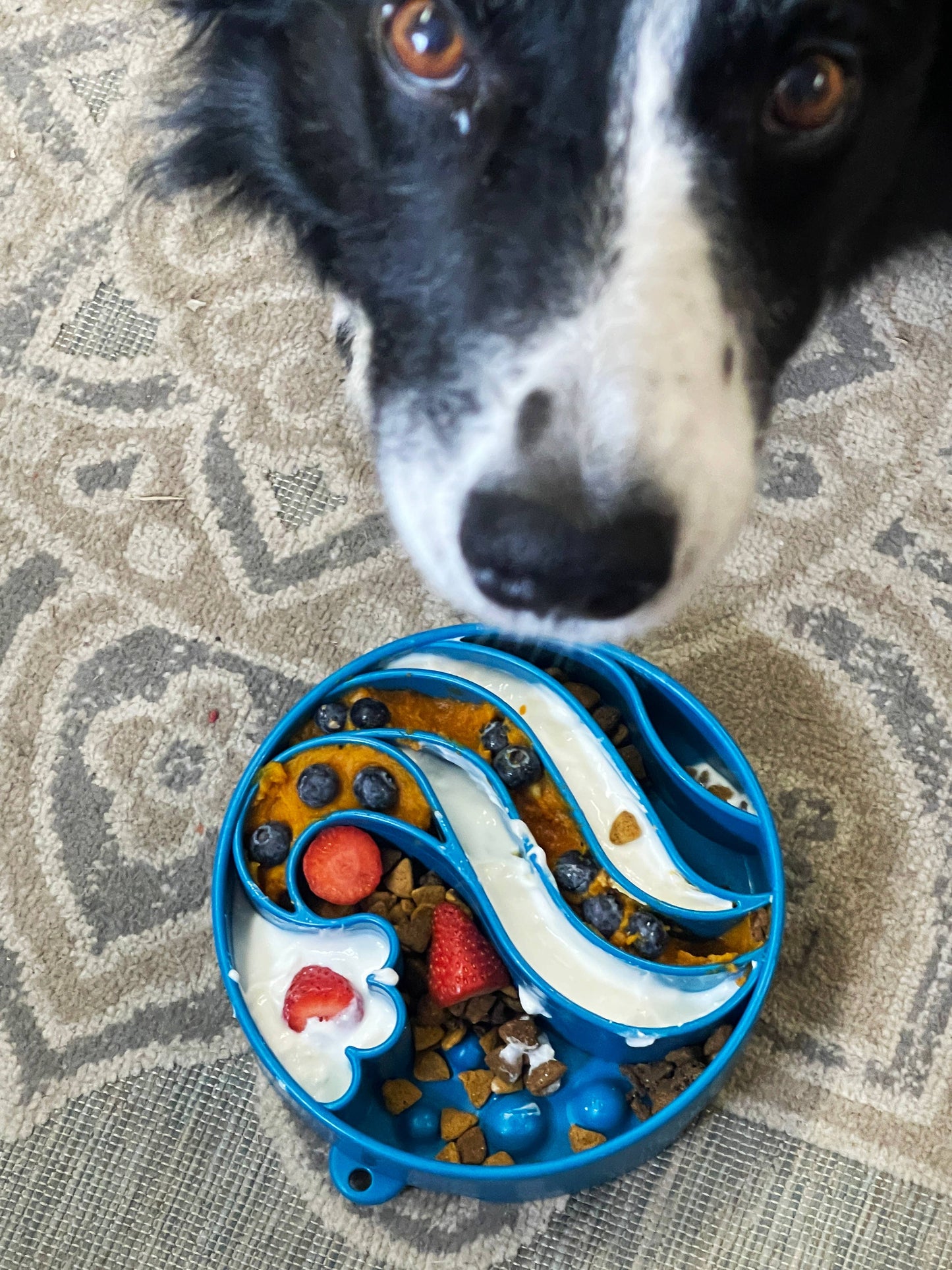 Bol à alimentation lente Wave Design eBowl Enrichment pour chiens