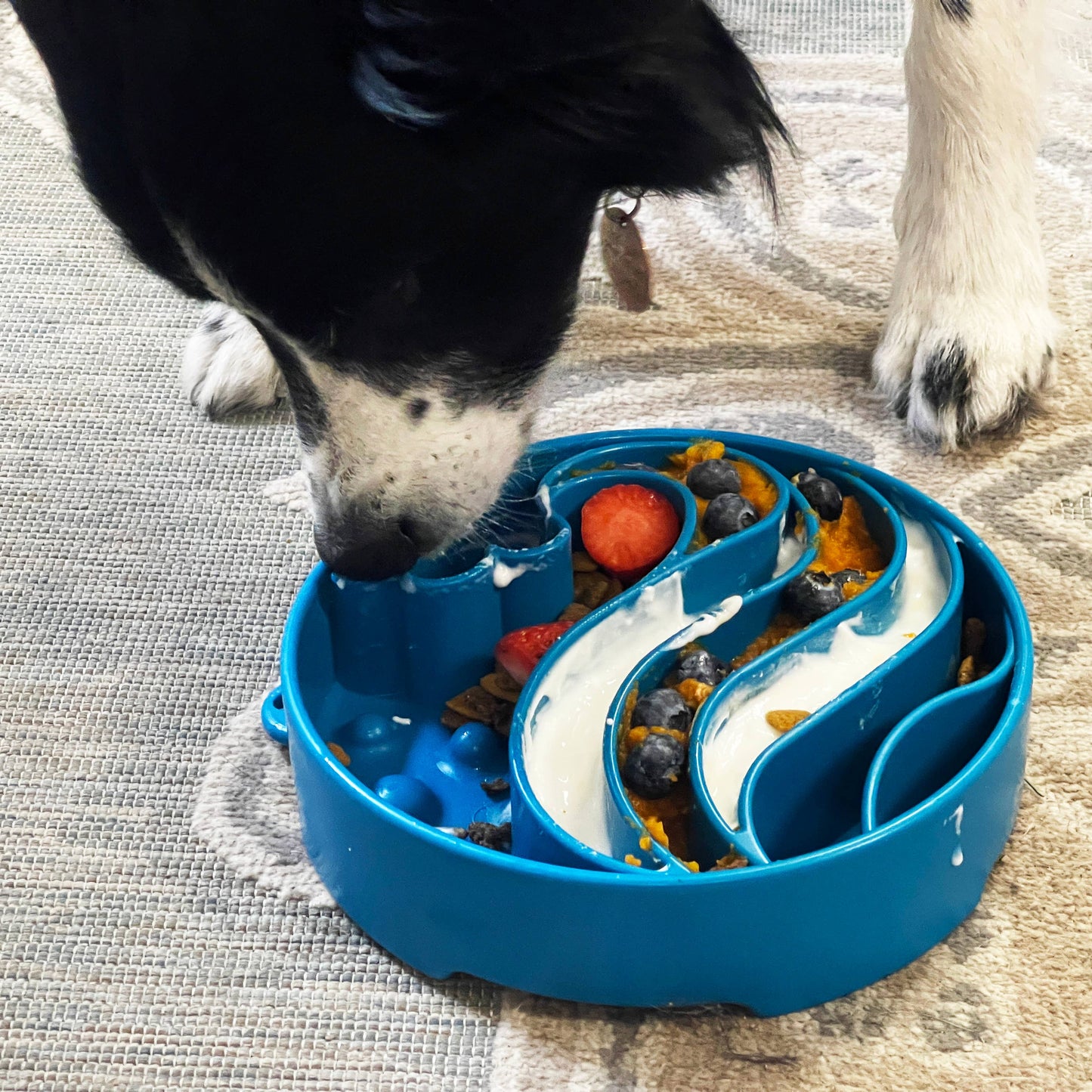 Bol à alimentation lente Wave Design eBowl Enrichment pour chiens