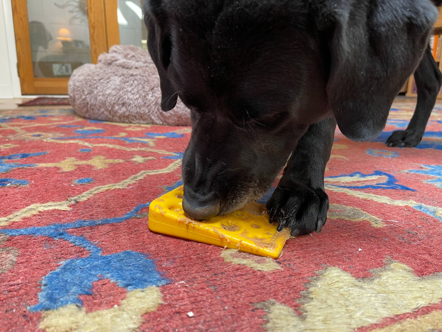 Swiss Cheese Wedge Jouet à mâcher en nylon durable pour chien agressif