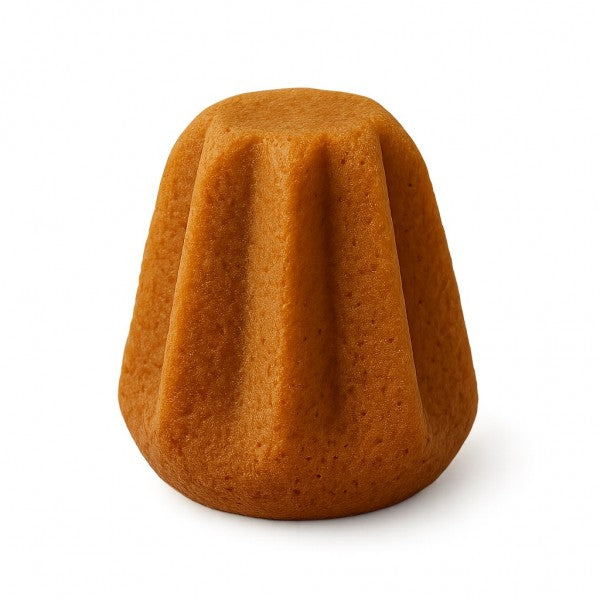 Pandoro artisanal pour chiens