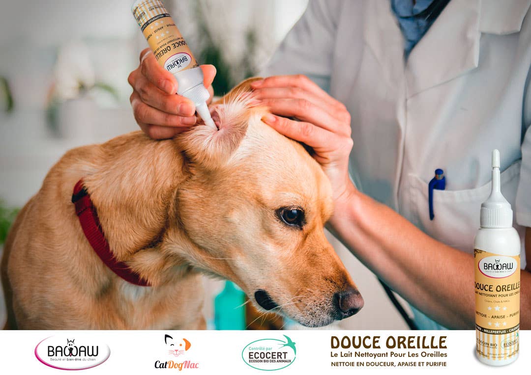 DOUCE OREILLE Lait Nettoyant Pour Les Oreilles